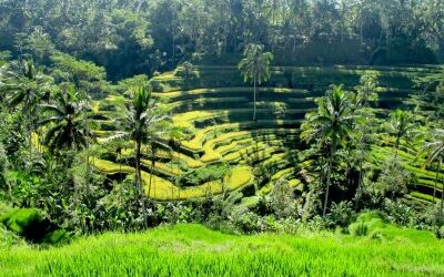 Tipy: 10 nejčastějších chyb při první návštěvě Bali