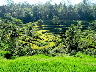 Tipy: 10 nejčastějších chyb při první návštěvě Bali